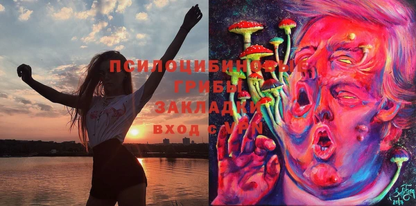 мяу мяу мука Богданович