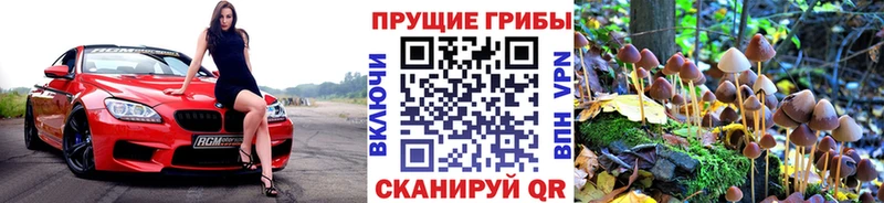 shop состав  наркота  Городище  Галлюциногенные грибы прущие грибы 